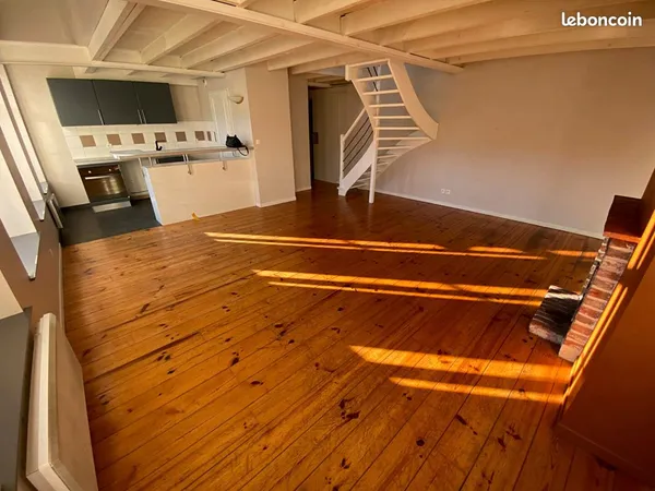 Duplex 3 pièces 55 m² 
