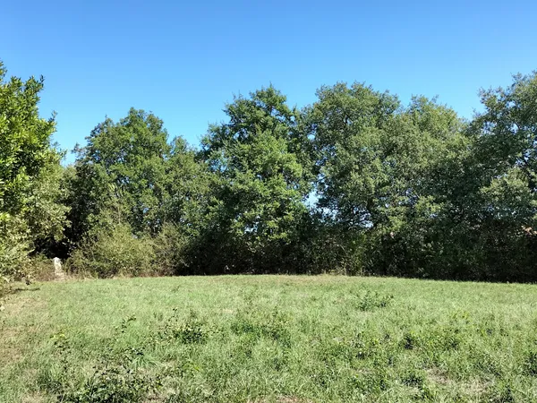 Joli terrain de 2800m2 , sans vis à vis, 20 min d'Auch 