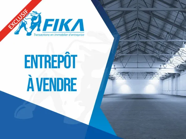 LOCAL D'ACTIVITE A VENDRE 