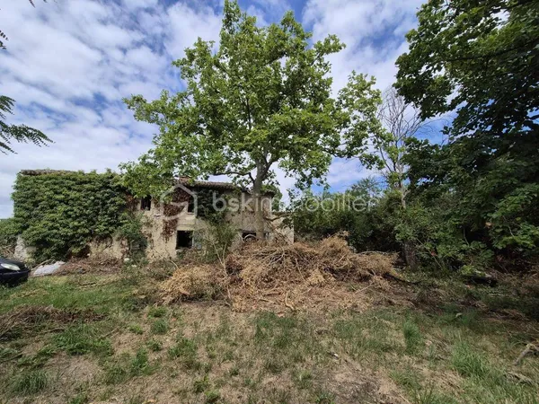 Propriété 