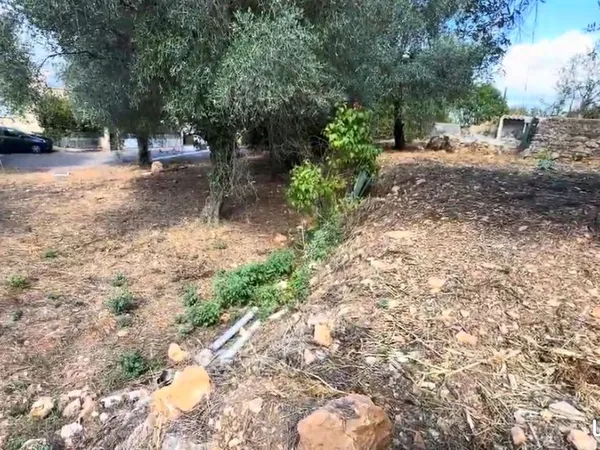 Terrain 573 m² La Trinité 