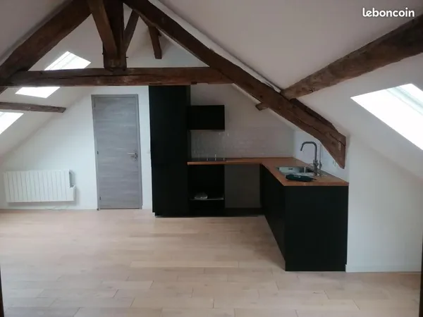 Duplex 2 pièces 45 m² 