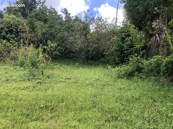 Terrain 413 m² Le Tampon 