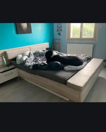 Maison Colocation 