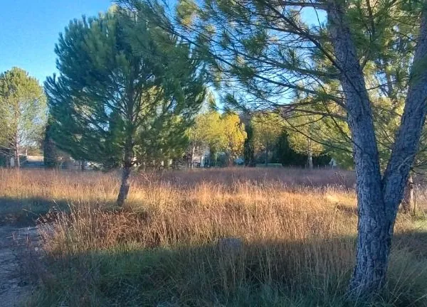 Terrain 1 524 m² Saint Jean De Maruejols Et Avejan 