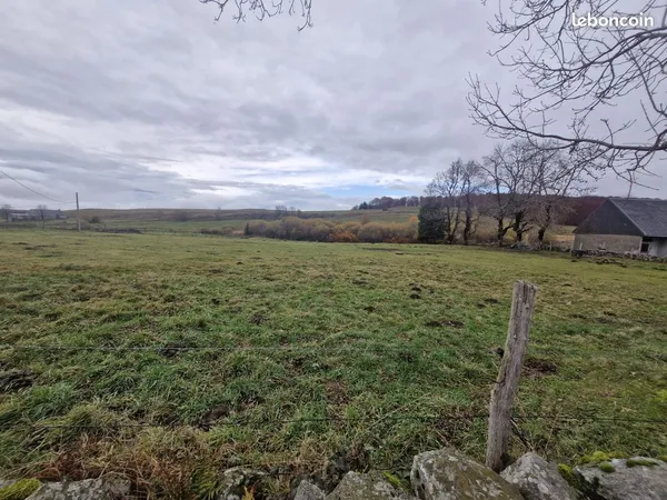 Terrain 4634 m² Picherande 
