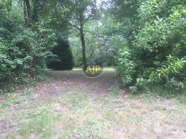 Terrain constructible, SAINT-VIVIEN-DE-MEDOC 