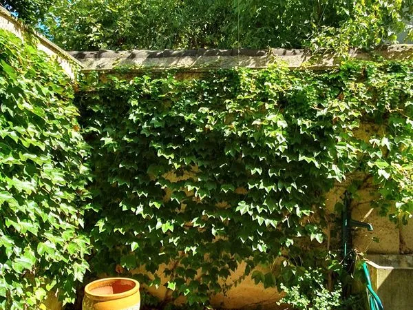 Maison 90m2 première ceinture 