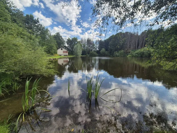 Terrain 15000 m² 