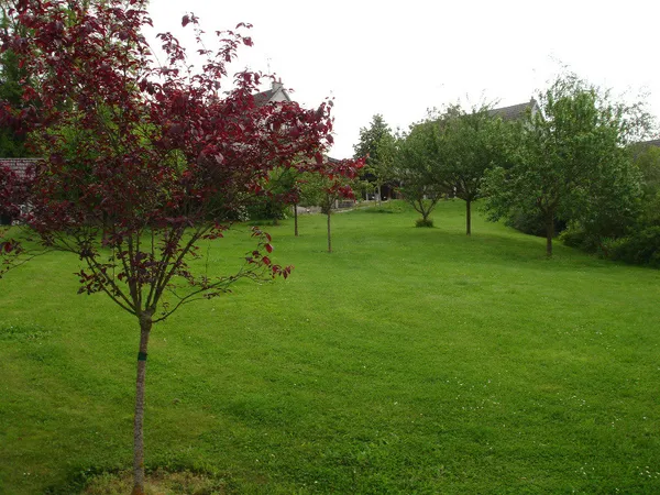 Terrain 209 m² 