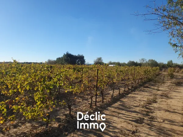 Belle Parcelle de Vigne à Servian 