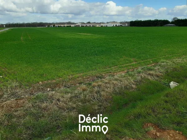 Terrain artisanal 24600 m² 