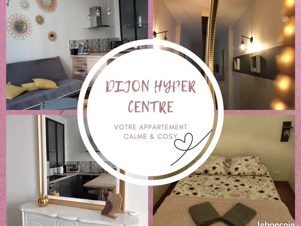 💕 T1 BIS MEUBLÉ DE CHARME (40m²) | HYPER-CENTRE DIJON (Rue du Chapeau Rouge) | Parfait état & 