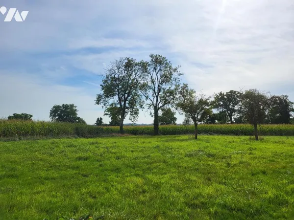 Terrain 85000 m² 