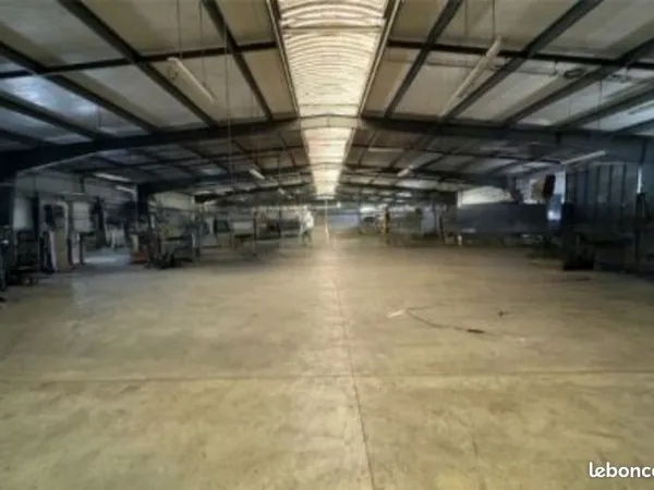 Local d'activité 3 000 m² 