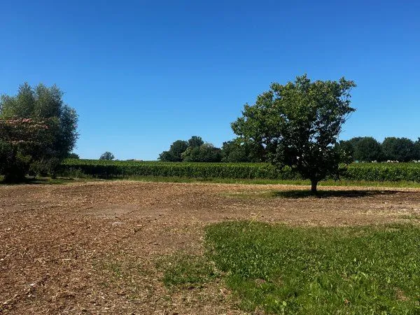 Terrain 512 m2 