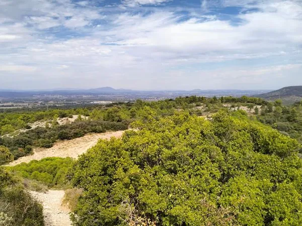 Terrain non constructible 6000 m² 