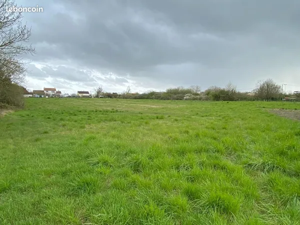 Terrain 5 007 m² Archigny 