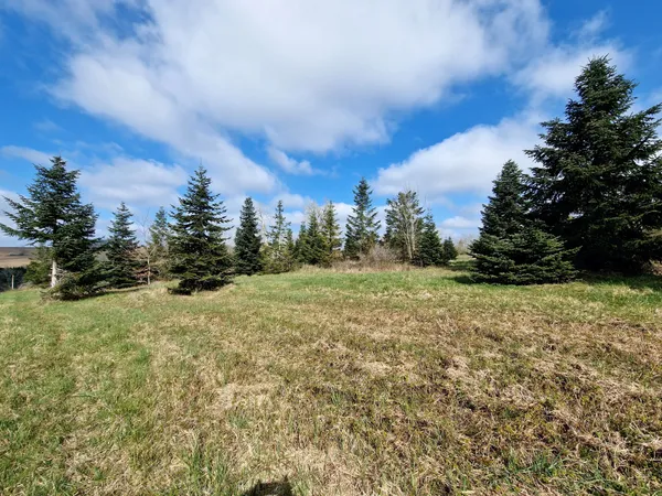 Grand terrain constructible avec certificat d'urbanisme, proche de Monségur 
