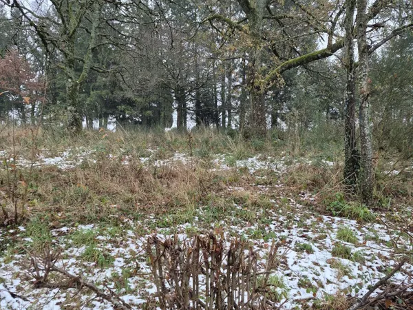 Terrain à bâtir de 1100 m² à CELLES-SUR-DUROLLE (63) 