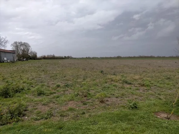 Terrain bien placé 