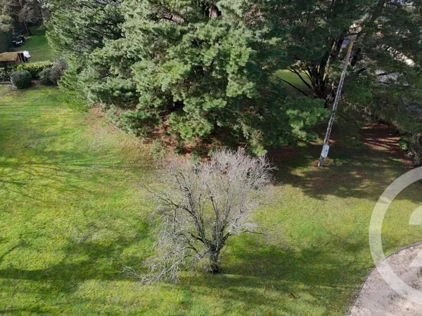 Terrain 501 m² 