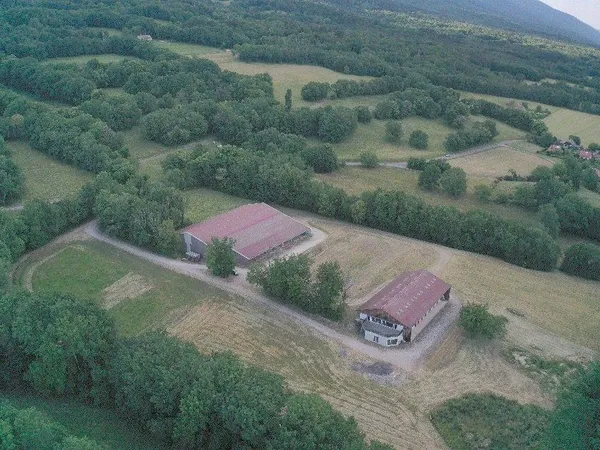 Immobilier Professionnel à vendre Saint-Jean-de-Gonville 