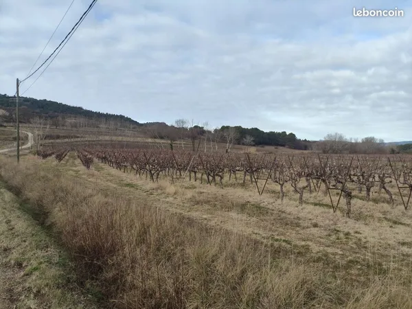 Terres agricoles 