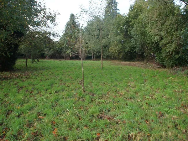 Propriété 1 pièce 