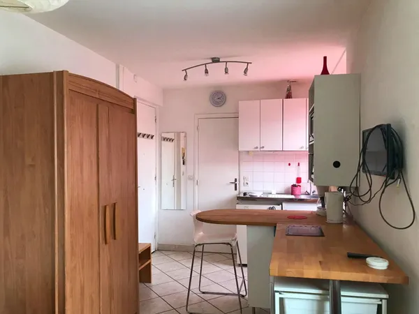 Loue Studio, 17m² , vue Jardin arrière,calme et lumineux - Caluire (69) 
