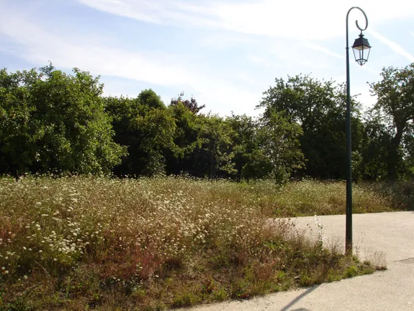 Terrain 356 m² 