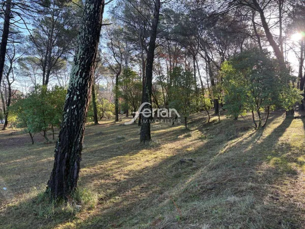 Terrain 7100 m² 