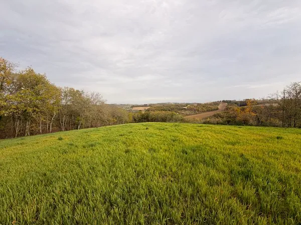 Terrain constructible 9886 m² 