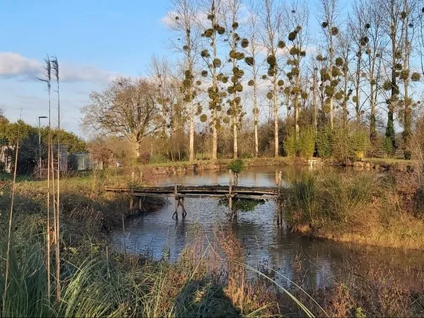 Étang de 1600m2 sur parcelle de 6769m2 