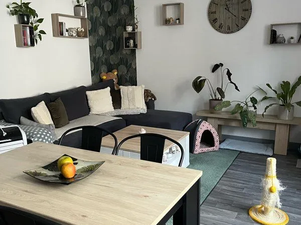 Charmant appartement cocooning - 39 m² - Centre-ville Remiremont 