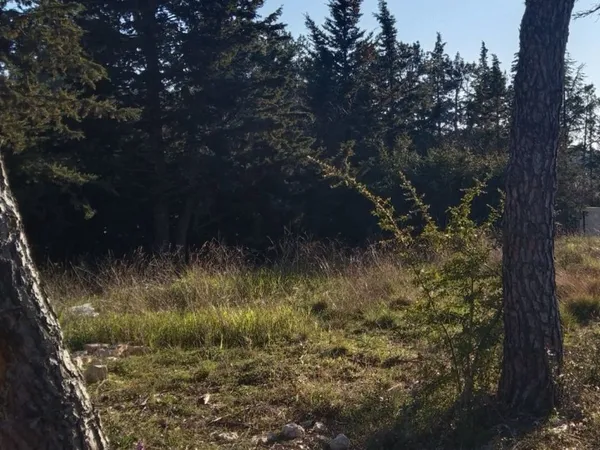 Terrain 495 m² 
