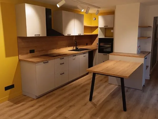 T3 rénové avec jardin 