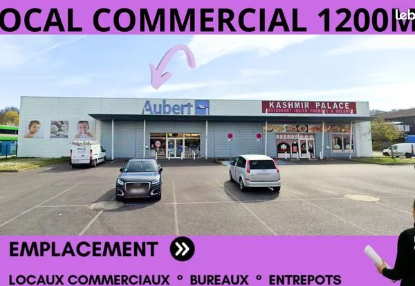 Local commercial 1 pièce 1142 m² 