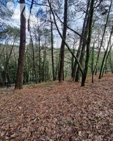 Bien agricole 5727 m² 