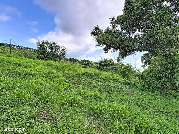 Terrain 725 m² Trinité 
