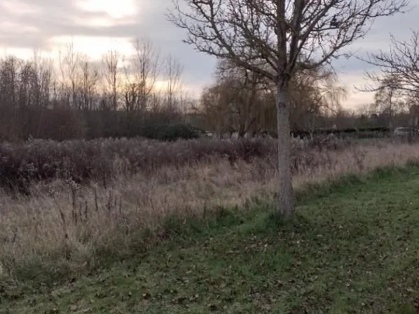 Terrain 401 m² Verberie 