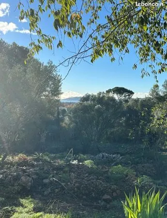 Terrain 12135 m² 