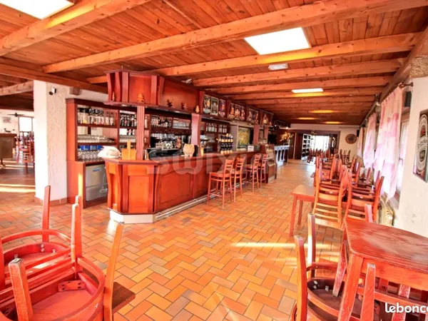 Hôtel particulier 35 pièces 1870 m² 