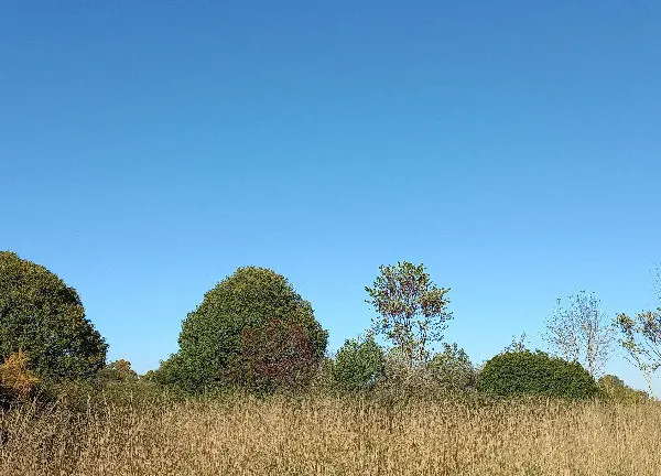 Terrain 3500 m² 