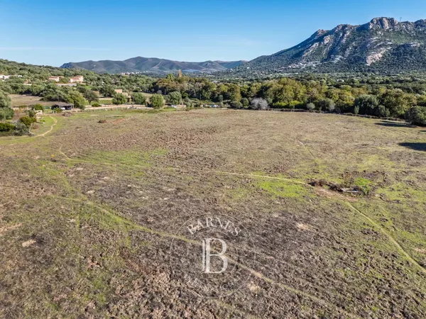 Occhiatana, Terrain à bâtir avec permis purgé pour villa d'achitecte en pierre avec piscine, 