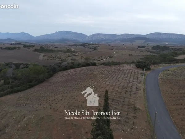 Terrain agricole 16 760 m² Tautavel 