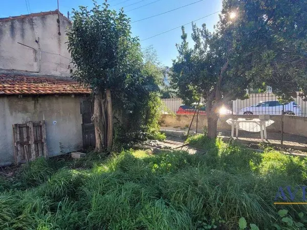 Maison 2 pièces 36 m² 