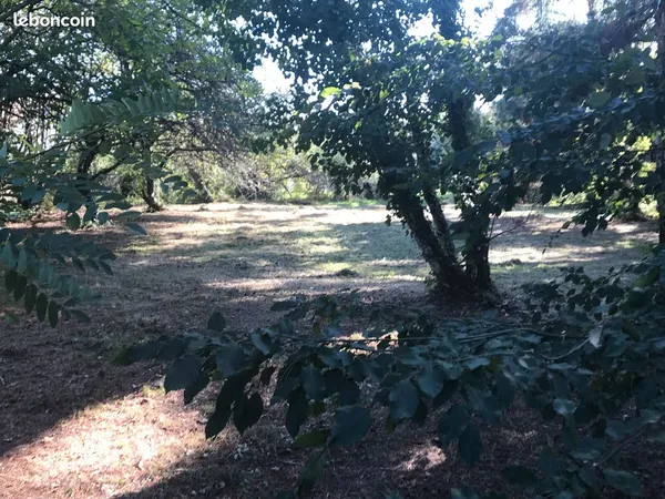Terrain constructible 