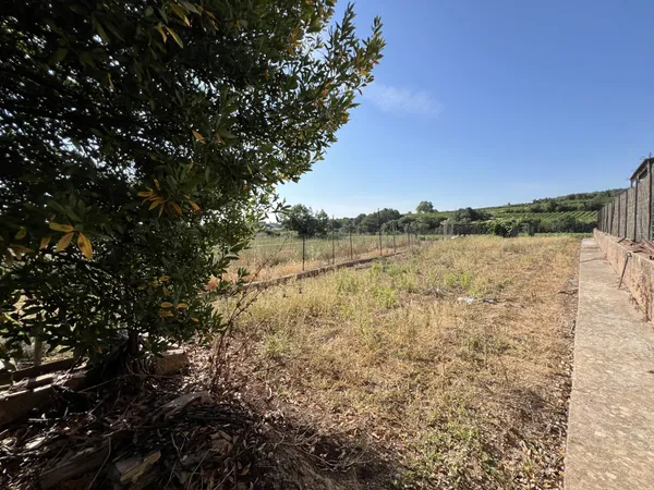 A VENDRE - TERRAIN CONSTRUCTIBLE CRUZY 295 m2 