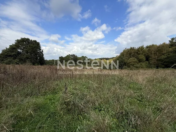 Terrain 24000 m² 